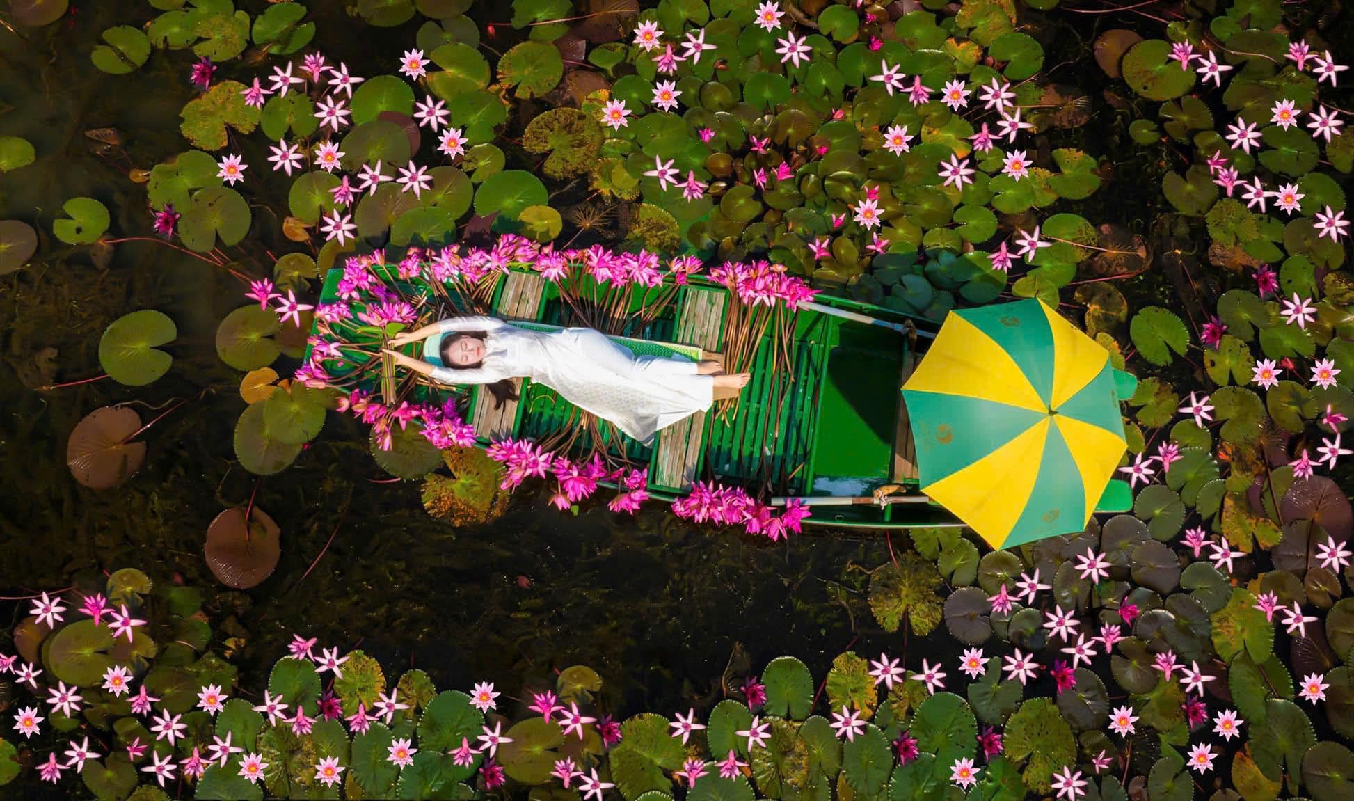 Marvel at the Blooming Water Lilies